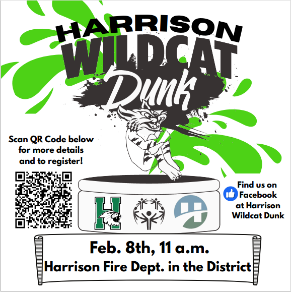 Wildcat Dunk Graphic